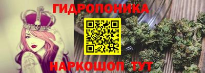 Альфа ПВП Лесосибирск