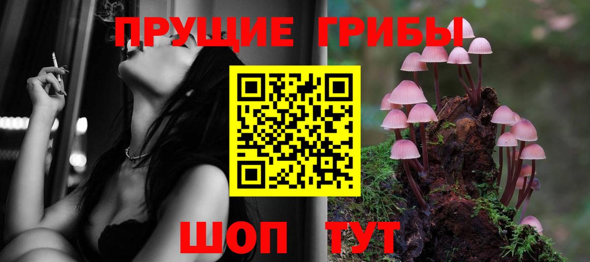Псилоцибиновые грибы ЛСД Среднеуральск